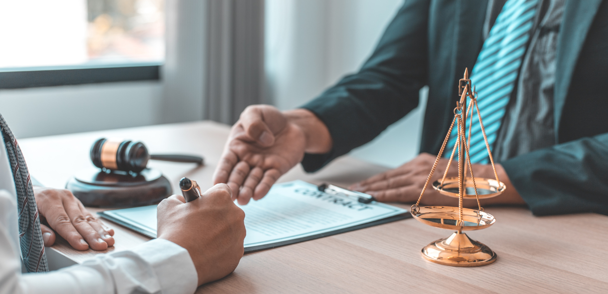 Political Litigation Services